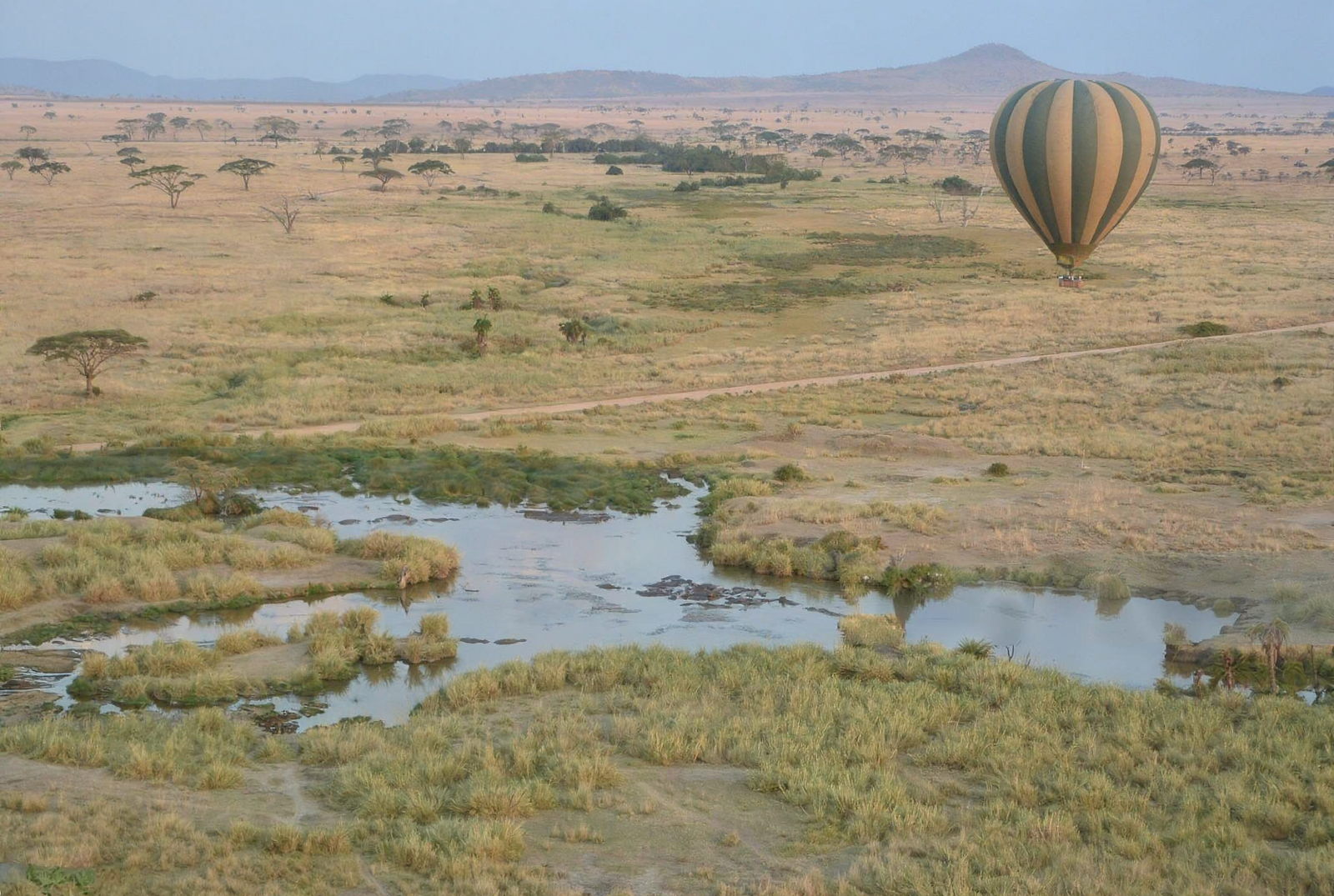 Mara River from above